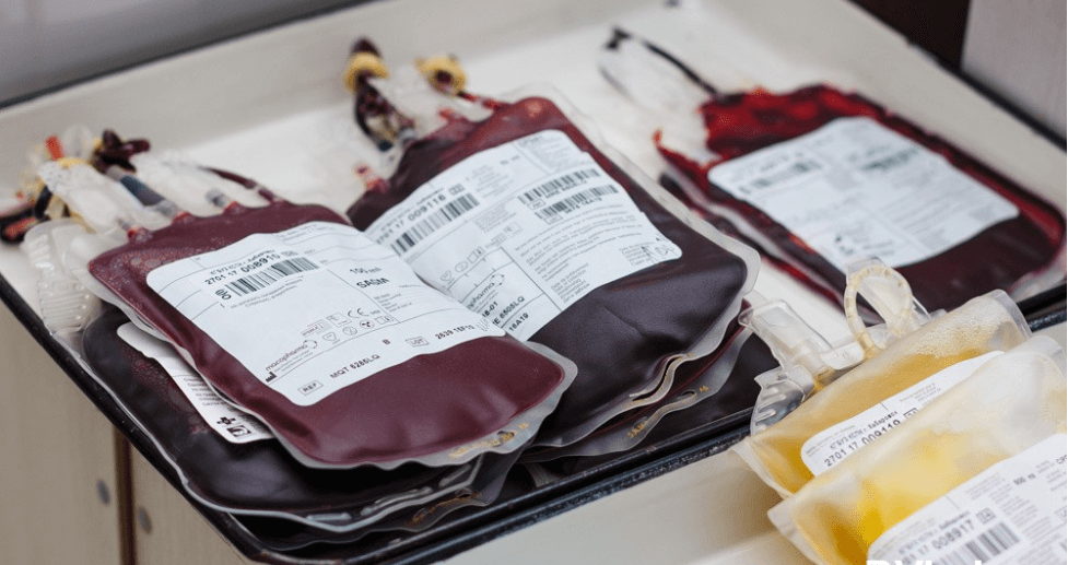 blood-img